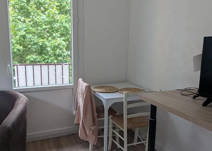 Apartment Climatise En Face Des Cures *